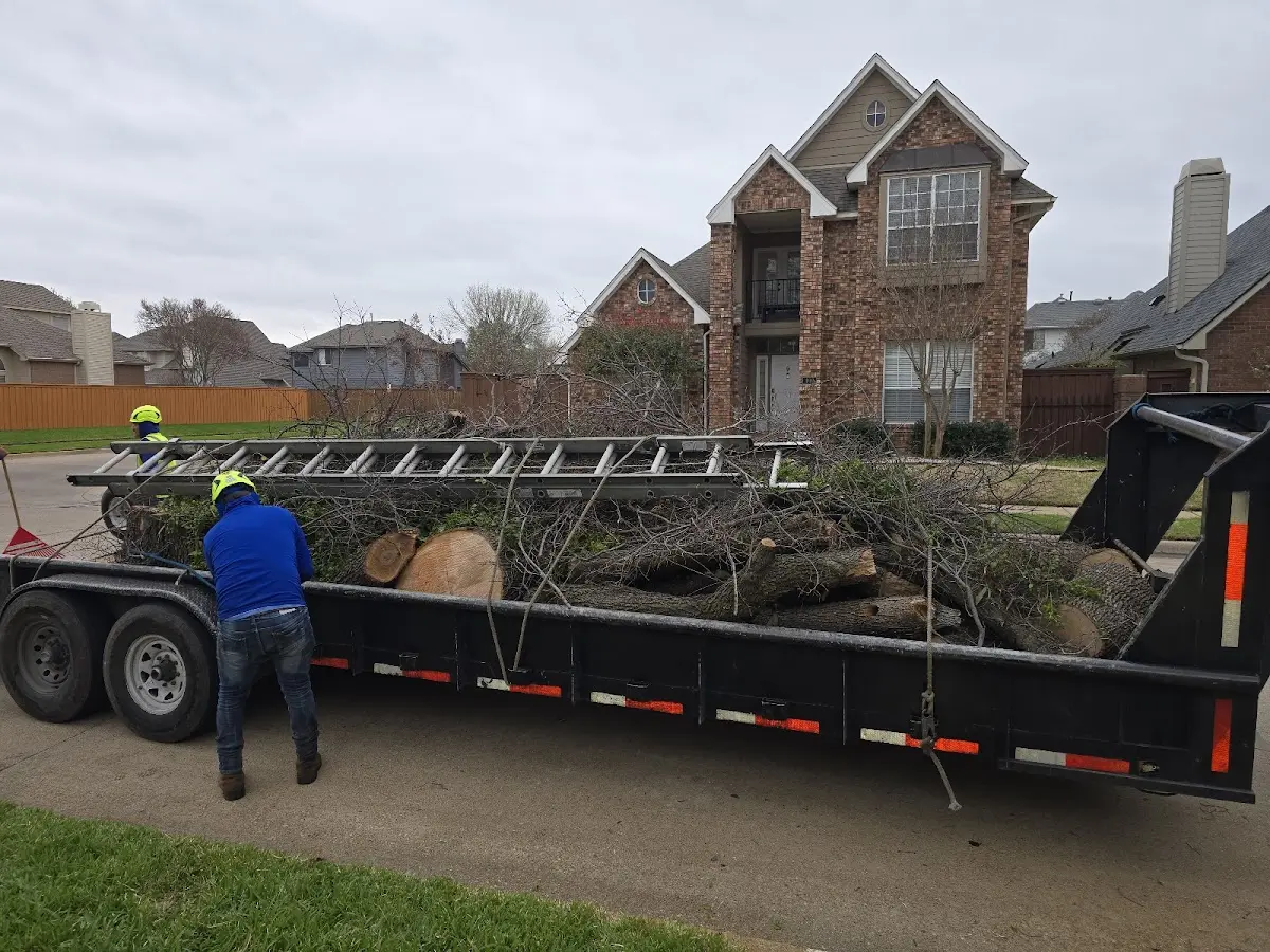 Expert Lot Clearing with proper safety equipment in Weldon